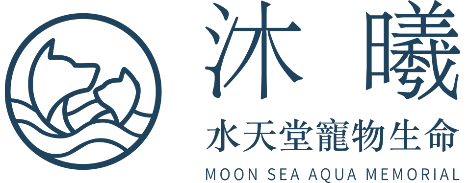 沐曦水天堂